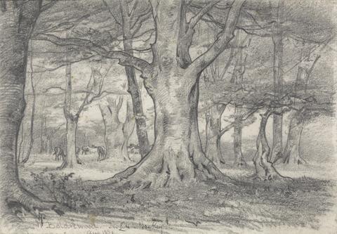 Alfred Parsons A Forest Landscape near Boldrewood