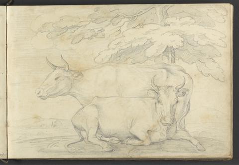 William Brockedon Studies from Nature (Tow Cows)