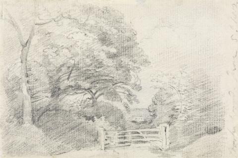 John Constable Coombe Wood