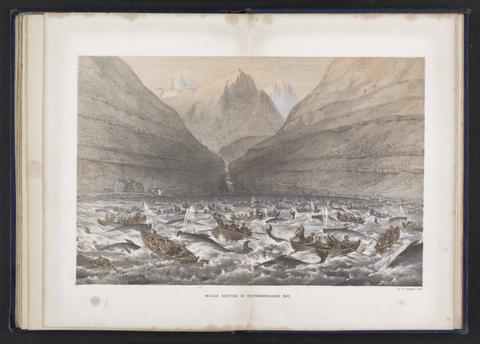  A narrative of the cruise of the yacht Maria among the Feroe Islands in the summer of 1854 :