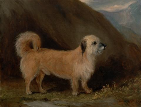 John E. Ferneley Jr. A Dandie Dinmont Terrier