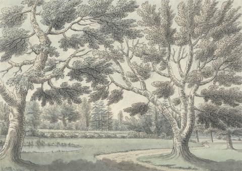 James Spyers Design for a Landscape Garden with Ponds Seen Through Trees