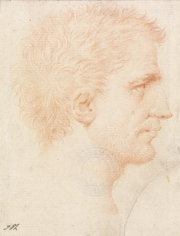 Giles Hussey Head of a Man with Stubble Beard, Facing Right