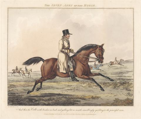Henry Thomas Alken Set of seven: The Seven Ages of the Horse