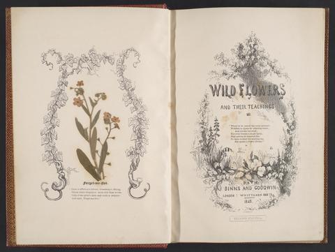  Wild flowers and their teachings.