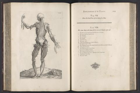 Myotomia reformata : or an anatomical treatise on the muscles of the human body ; illustrated with figures after the life / by the late Mr. William Cowper ; to which is prefix'd an introduction concerning muscular motion.