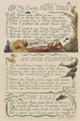 William Blake Songs of Innocence and of Experience, Plate 47, "My Pretty Rose Tree" (Bentley 43)