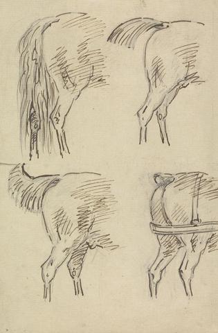 Sawrey Gilpin Four Sketches of Hind Quarters of Horse