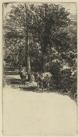 Francis Seymour Haden The Two Asses