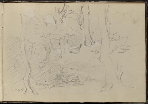 William Brockedon Sketch of a Group of Trees