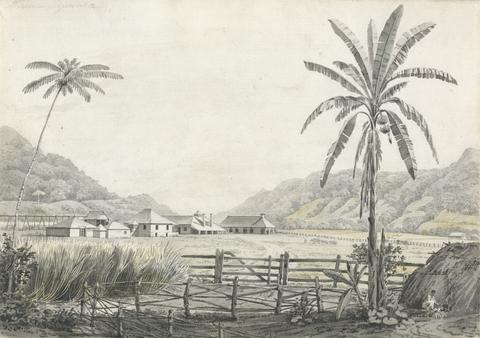 Edward Kennion A View of Hall-head Sugar Plantation, Jamaica