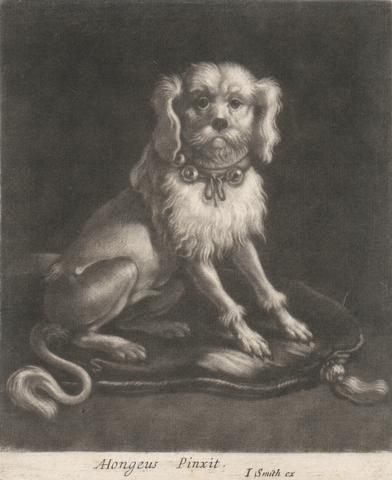 A Small Dog, Wearing a Belled Collar.