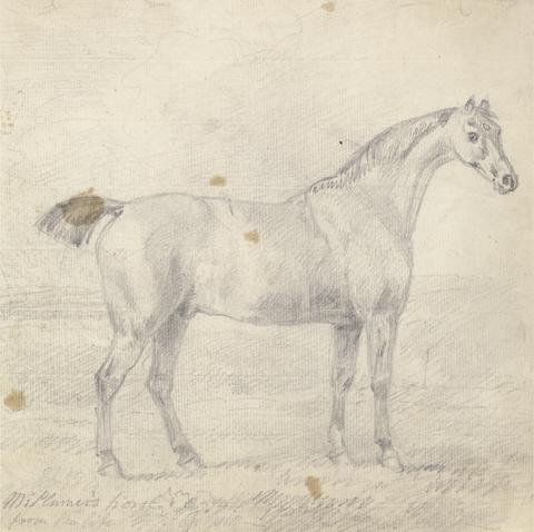 Sawrey Gilpin Mr. Plumer's Horse