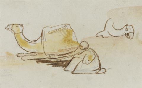 Edward Lear Camel studies