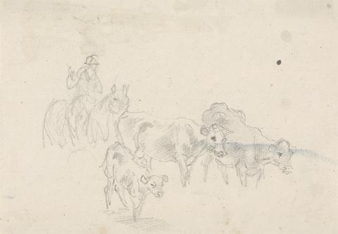 Sawrey Gilpin Study of cattle with a calf in foreground