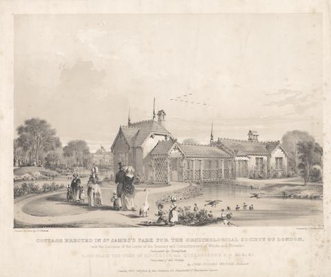 Cottage erected in St. James Park for the Ornithological Society of London