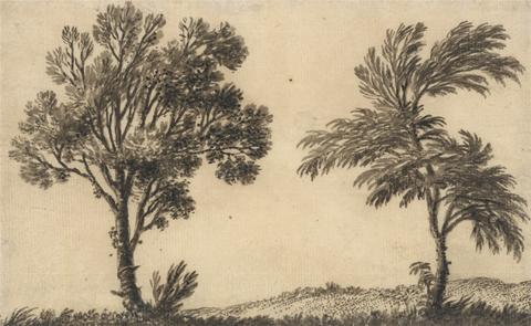 Alexander Cozens Study of Two Willows