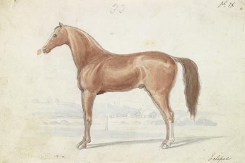Charles Hamilton Smith The English Race-Horse