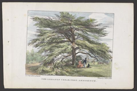 Papendiek, George Ernest, 1788-1835. Kew Gardens :