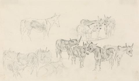 Sawrey Gilpin Studies of Donkeys