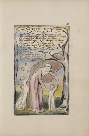 William Blake Songs of Innocence and of Experience, Plate 37, "The Fly" (Bentley 40)