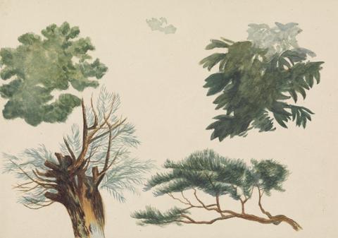 Richard Pettigrew Leitch Trees and Foliage