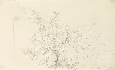 Capt. Thomas Hastings Sketch of Plants and a Milestone from Nature, 3 June 1826