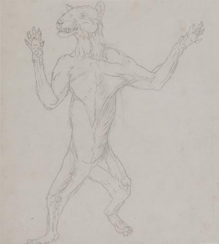 George Stubbs Tiger Body, Standing in Human Posture