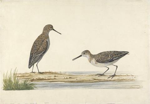 Charles Collins A Pair of Stints