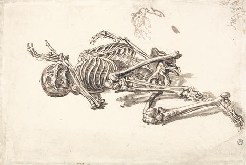 James Ward A Human Skeleton