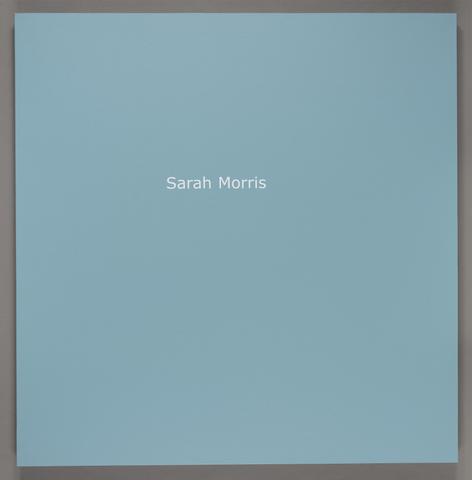 Sarah Morris Dulles (Capital) Portfolio