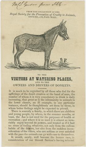 To the visitors at watering places, and to the owners and drivers of donkeys.