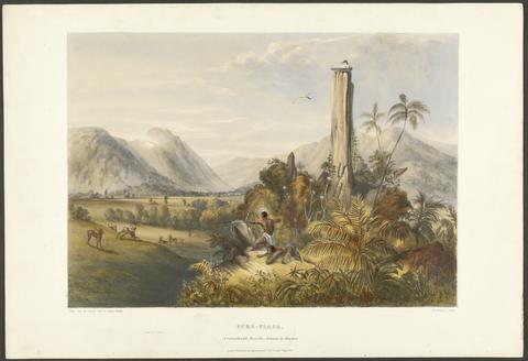 Schomburgk, Robert H. (Robert Hermann), Sir, 1804-1865. Twelve views in the interior of Guiana.