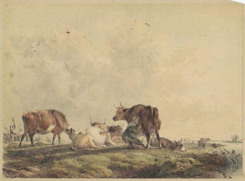 unknown artist Woman Milking a Cow