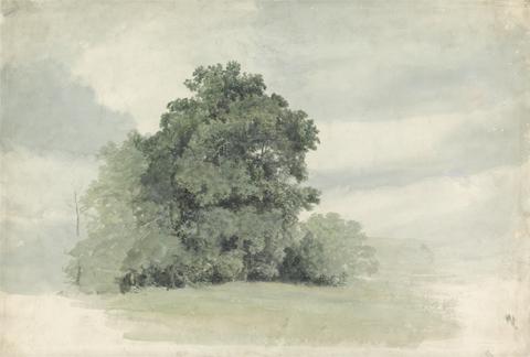 Cornelius Varley Study of Trees at the Edge of a Field