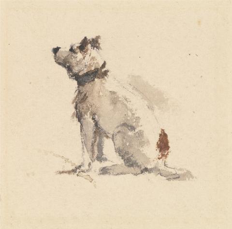 Peter DeWint A Terrier, Sitting, Facing Left