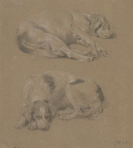 James Ward Studies of Dogs lying down