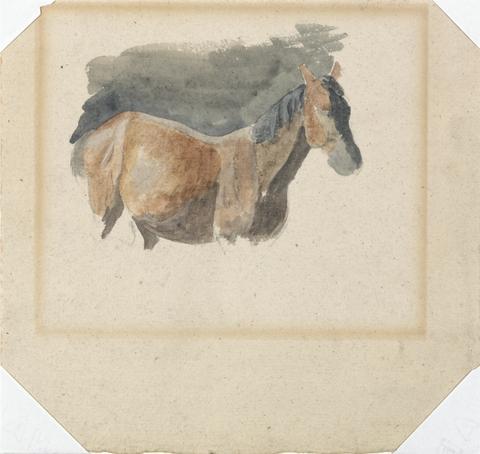 Robert Hills Sketch of a Horse