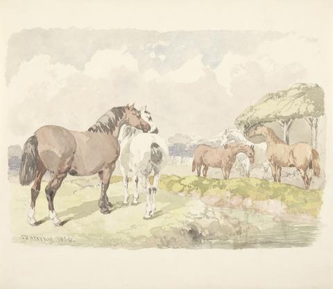 John Frederick Herring Five Horses near a Brook