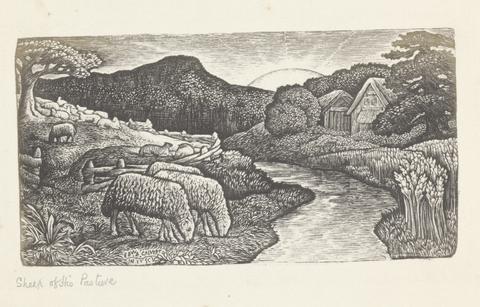 Frederick Henry Evans Sheep of this Pasture