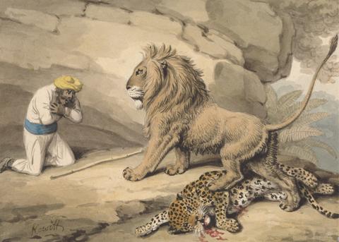 Samuel Howitt A Lion Standing over a Wounded Leapard