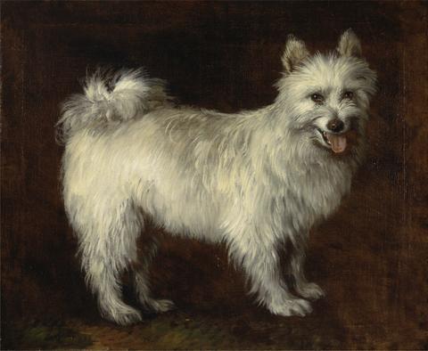 Thomas Gainsborough RA Spitz Dog