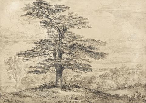 James Ward A Cedar on a Rise with a Herd of Deer Grouped Beneath its Shade