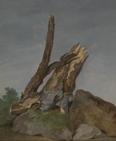 George Augustus Wallis Study of Rocks and Branches