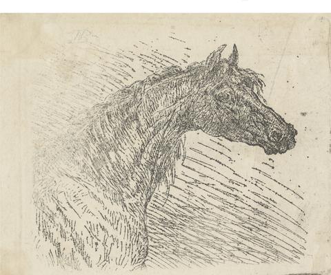 unknown artist Head of a Horse