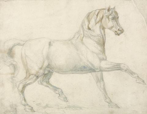 William Sawrey Gilpin An Arabian Stallion Walking to Right