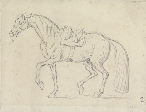 James Seymour Saddled Horse, Walking to Left