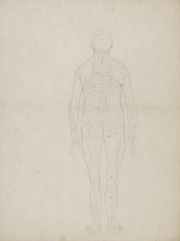 George Stubbs Human Figure, Posterior View