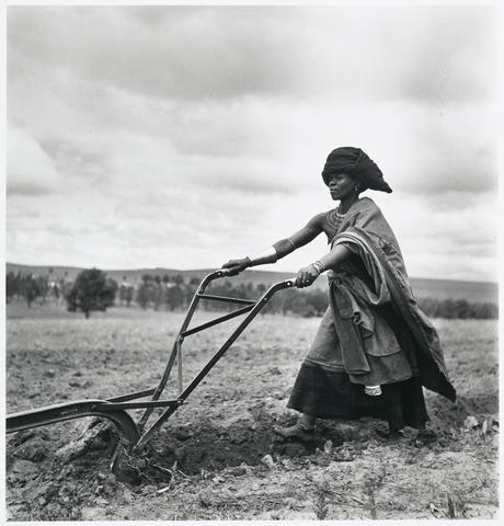 Constance Stuart Larrabee Woman Ploughing, Transkei, 1949