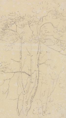 Capt. Thomas Hastings Sketch of Trees, Shorwell, Isle of Wight